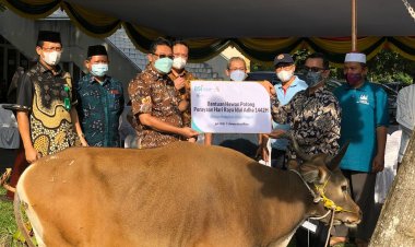 Universitas Riau Terima Bantuan Hewan Kurban dari BSI