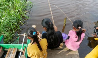 Hasil Laboratorium Ikan Mati di Sungai Kampar Tak Pernah Disampaikan ke Warga