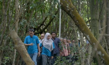 Tanggapan Rektor UNRI Usai Tinjau Hutan Mangrove di Kampus Purnama Dumai