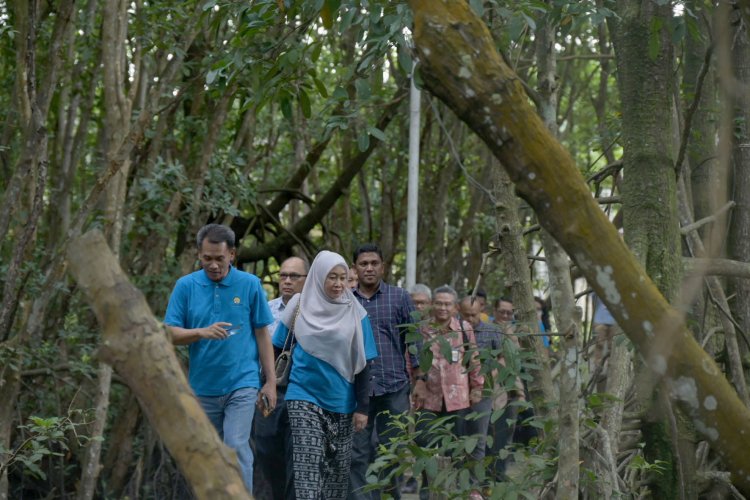 Tanggapan Rektor UNRI Usai Tinjau Hutan Mangrove di Kampus Purnama Dumai