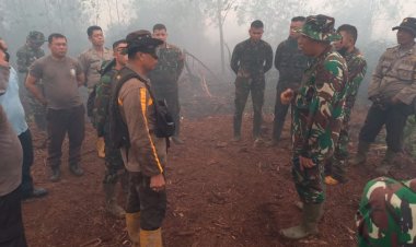 Karhutla di Perbatasan Dumai dan Bengkalis, Polda Riau Kejar Pelaku Pembakaran
