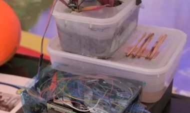 Karya Penelitian Mahasiswa UNRI Ini Bikin Kontrol Tanaman Bisa dari Jarak Jauh