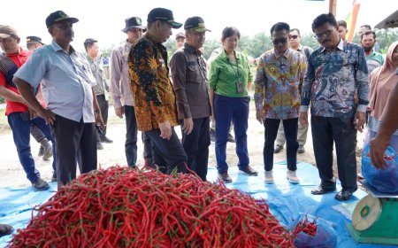 Cabai dan Bawang Naik Harga, Mendagri Minta Tanam Sendiri