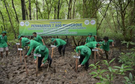 UNRI dan KPI Project Sumatera Tanam 7.800 Mangrove di Dumai