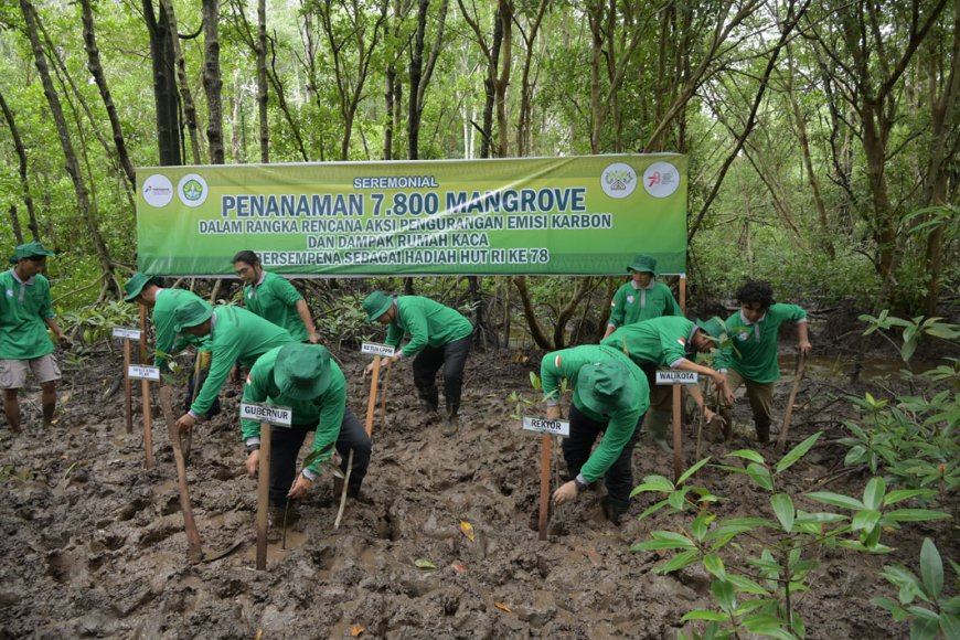 Unri Dan Kpi Project Sumatera Tanam Mangrove Di Dumai Riau Cerdas Semua Orang Berhak