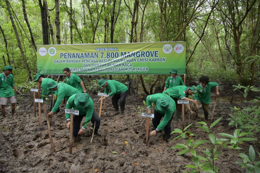 UNRI dan KPI Project Sumatera Tanam 7.800 Mangrove di Dumai