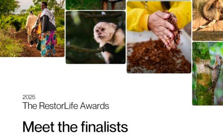 Yayasan Gambut Tembus 16 Besar RestorLife Award 2025, Siap Perluas Ekosistem di Pulau Bengkalis