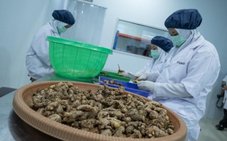 Siswa SMK Bakal Dididik Jadi Serba Tahu, Serba Bisa