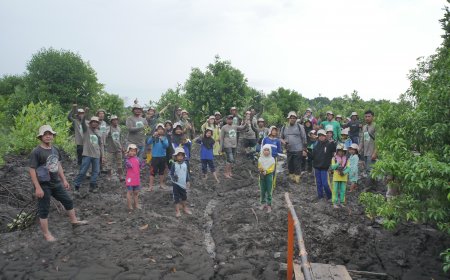 Aksi Nyata Selamatkan Pesisir Pantai Bengkalis, Kelompok Sekat Bakau Tanam 200 Mangrove