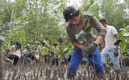 Kelompok Masyarakat Bengkalis dan Siak Provinsi Riau Belajar Mangrove di Johor, Malaysia.
