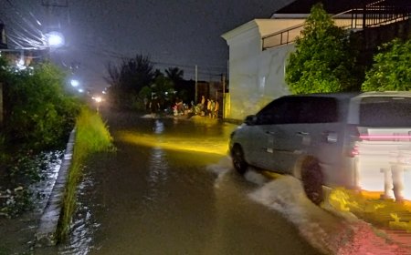 Kecuali Inhu, 11 Kabupaten/Kota di Riau Tetapkan Status Siaga Darurat Bencana Hidrometeorologi