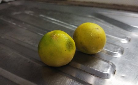 BRIN Kembangkan Tekstil Antibakteri Jeruk Nipis dan Pelapis Ni–Cr untuk Industri Energi