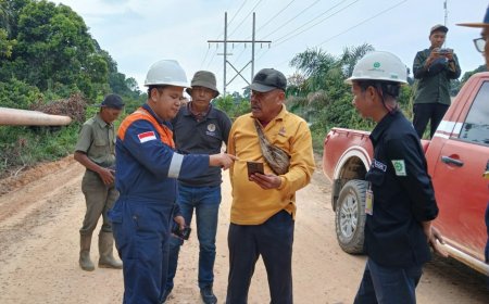 Viral Video Harimau Sumatera di Siak, BBKSDA Riau Pastikan Berada di Kawasan TN Zamrud