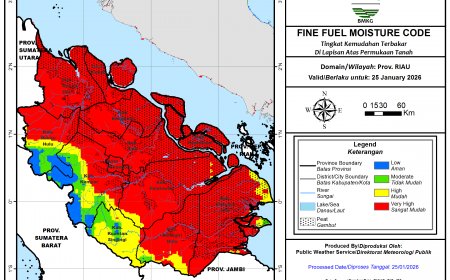 Puluhan Hotspot Muncul di Riau, Bengkalis Terbanyak di Tengah 480 Titik Panas Sumatera