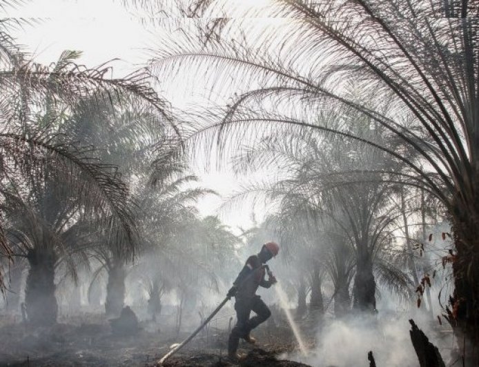 IPB Kembangkan Sistem OLAP Hotspot Karhutla, Bantu Prediksi Kebakaran Hutan Lebih Akurat