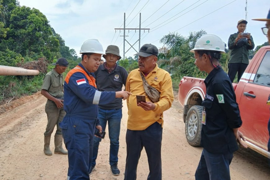Viral Video Harimau Sumatera di Siak, BBKSDA Riau Pastikan Berada di Kawasan TN Zamrud