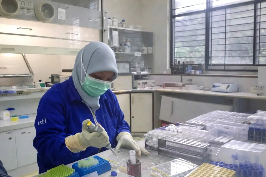 Riset BRIN Kembangkan Turunan Kulit Manggis untuk Terapi Kanker Payudara ER-Positif