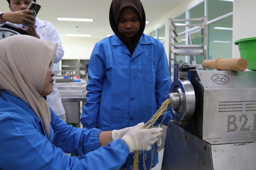 BRIN Kembangkan Teknologi Mi Sorgum Bebas Gluten untuk Kurangi Impor Gandum