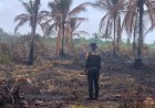 Karhutla Awal 2026 di Riau Tembus 1.041 Hektare, 11 Daerah Terdampak