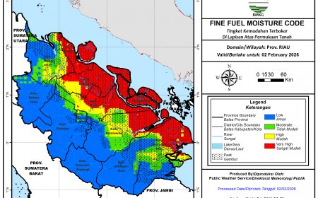 BMKG Catat 40 Hotspot di Riau, Pelalawan dan Inhil Terbanyak