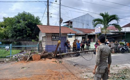 Pemko Pekanbaru Panggil Operator Telekomunikasi Besok, Imbas Tiang Fiber Optik Tumbang