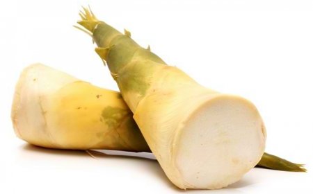 Rebung Dinilai Berpotensi Jadi Superfood Lokal, Kaya Serat dan Rendah Kalori