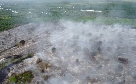 Lonjakan Hotspot di Riau Dominasi Sumatera, Pelalawan Jadi Titik Paling Rawan