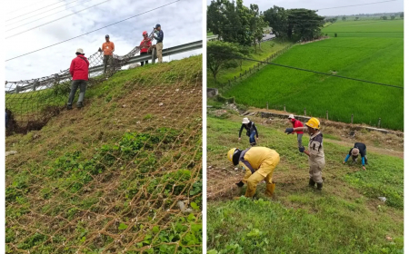 BRIN Uji Teknologi Jaring Benih untuk Atasi Erosi Tebing Jalan dan Risiko Longsor