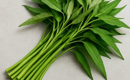 Jarang Masuk Menu Rumah Sakit, Ini Alasan Kangkung Dibatasi untuk Pasien