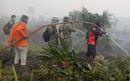 Riau Siaga Darurat Karhutla, Pemprov Minta Bantuan Helikopter dan Modifikasi Cuaca
