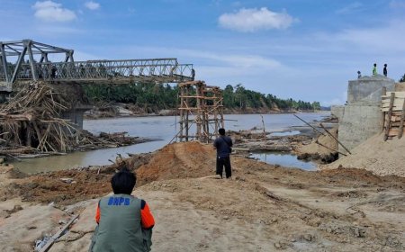 BRIN: Banjir Bandang Bukan Sekadar Hujan Ekstrem, Tanda Keruntuhan Ekosistem Hutan