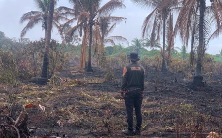 Karhutla Awal 2026 di Riau Tembus 1.041 Hektare, 11 Daerah Terdampak