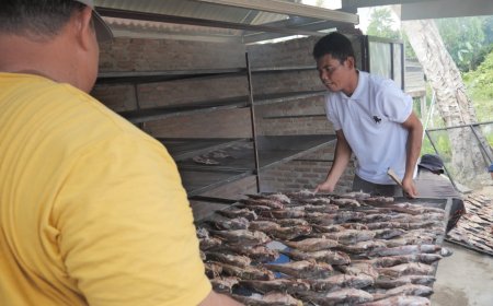 Potensi Ikan Baung Diolah Jadi Salai Modern, Peluang Baru Ekonomi Desa Siarang Arang