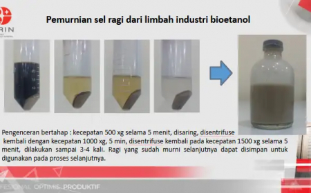 BRIN Kembangkan Glutation dari Limbah Bioetanol, Potensi Jadi Antioksidan Bernilai Tinggi