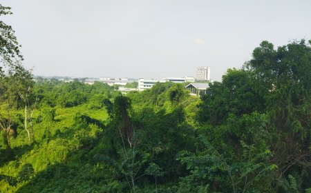 Prakiraan Cuaca Riau 28 Februari: Cerah Berawan, BMKG Deteksi 3 Hotspot