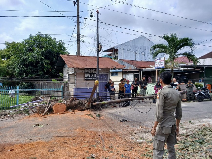Pemko Pekanbaru Panggil Operator Telekomunikasi Besok, Imbas Tiang Fiber Optik Tumbang