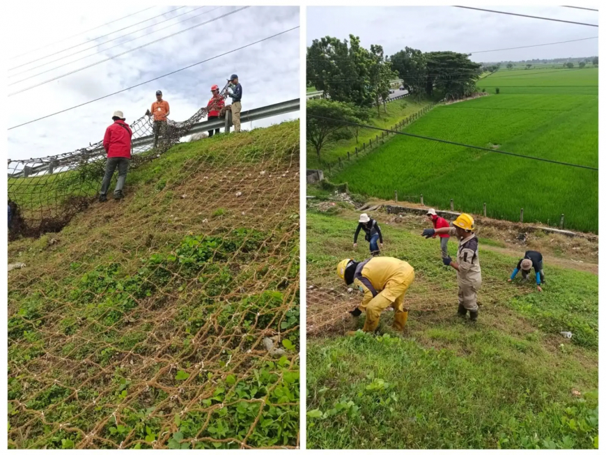 BRIN Uji Teknologi Jaring Benih untuk Atasi Erosi Tebing Jalan dan Risiko Longsor