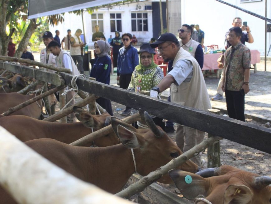 Riau Percepat Vaksinasi PMK, 20 Ribu Dosis Digelontorkan Lindungi Ternak