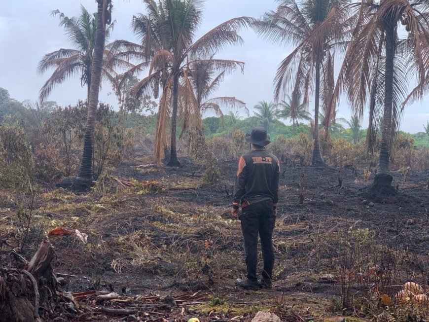 Karhutla Awal 2026 di Riau Tembus 1.041 Hektare, 11 Daerah Terdampak