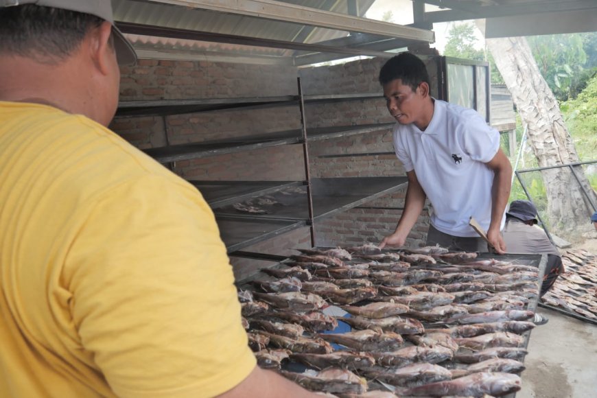 Potensi Ikan Baung Diolah Jadi Salai Modern, Peluang Baru Ekonomi Desa Siarang Arang