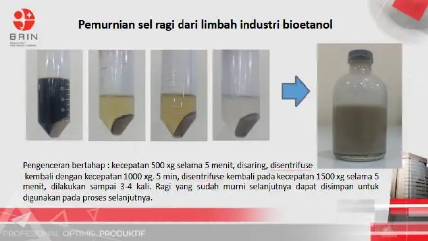 BRIN Kembangkan Glutation dari Limbah Bioetanol, Potensi Jadi Antioksidan Bernilai Tinggi
