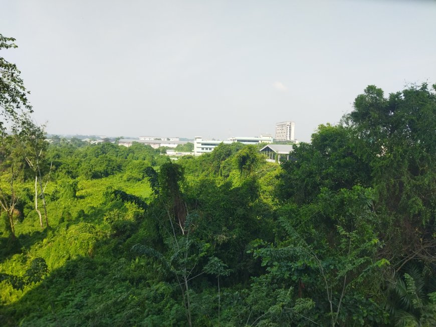 Prakiraan Cuaca Riau 28 Februari: Cerah Berawan, BMKG Deteksi 3 Hotspot