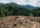 Terancam Alih Fungsi, Akademisi Sebut Kondisi Hutan Indonesia Sedang Tidak Baik-baik Saja
