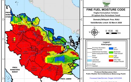 Hotspot Riau Tembus 48 Titik, Rohil Terbanyak, BMKG Ingatkan Waspada Karhutla