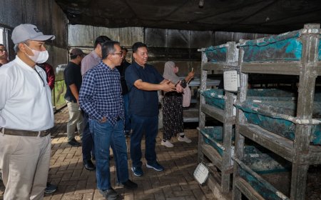 Mendiktisaintek Dorong Kampus Nilai Pengelolaan Sampah Berbasis Maggot