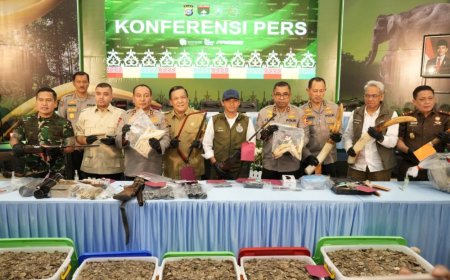 Menhut Sebut Pembantaian Gajah di Pelalawan Kejahatan Terorganisir, 15 Tersangka Diamankan