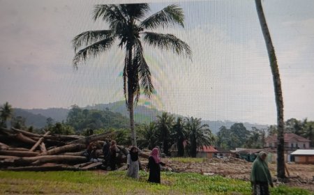 Mahasiswa UM Tapsel Dampingi Pemulihan Pascabanjir di Desa Hutagodang