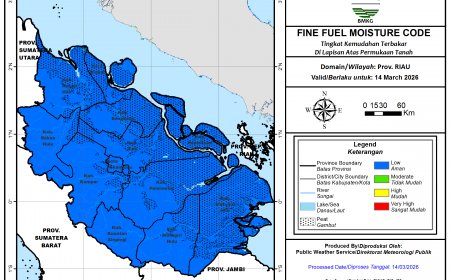 Hotspot di Riau Dominasi Pulau Sumatera, Tercatat 315 Titik pada Sabtu