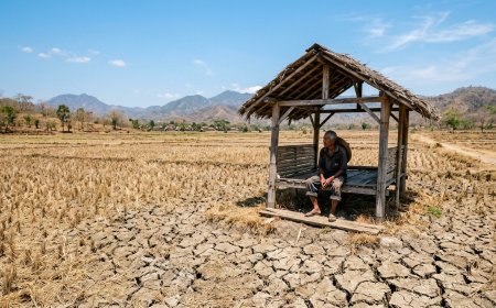 BMKG Prediksi Kemarau 2026 Lebih Cepat, Pakar Ingatkan Ancaman Kekeringan dan Krisis Pangan