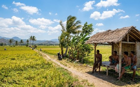Suhu Bumi Naik 0,35 Derajat, Pakar UGM Peringatkan Risiko Siklon hingga Gagal Panen Meningkat